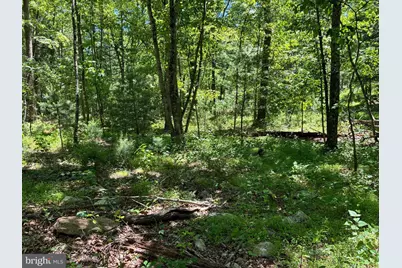 Sugar Hill Road Tbd, Maurertown, VA 22644 - Photo 24