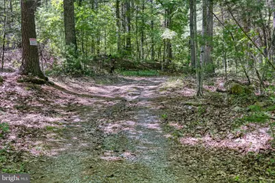 Sugar Hill Road Tbd, Maurertown, VA 22644 - Photo 34