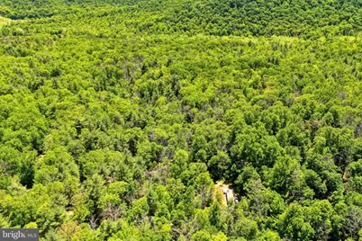 Sugar Hill Road Tbd, Maurertown, VA 22644 - Photo 36