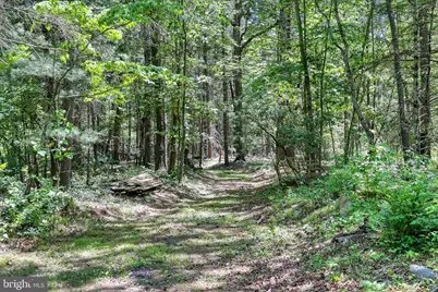 Sugar Hill Road Tbd, Maurertown, VA 22644 - Photo 30