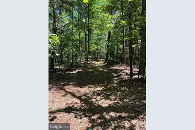 Sugar Hill Road Tbd, Maurertown, VA 22644 - Photo 20