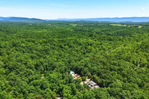671 Willow Ln, Mount Jackson, VA 22842 - Photo 54