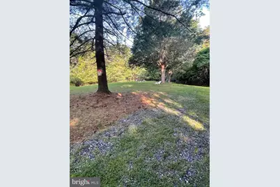 Many Waters Lane Lane, Fort Valley, VA 22652 - Photo 4