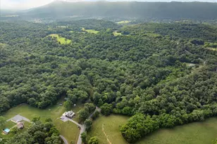 1488 Millner Rd, Strasburg, VA 22657 - Photo 42