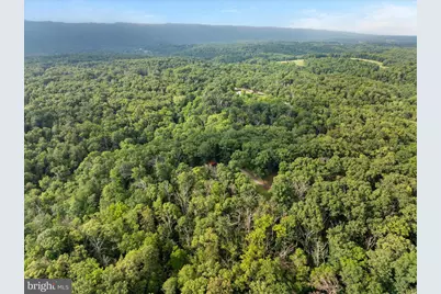 1488 Millner Road, Strasburg, VA 22657 - Photo 40