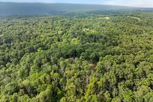 1488 Millner Rd, Strasburg, VA 22657 - Photo 40