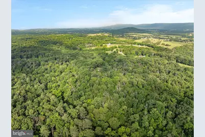 1488 Millner Road, Strasburg, VA 22657 - Photo 38