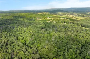 1488 Millner Rd, Strasburg, VA 22657 - Photo 38