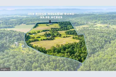 368 Ridge Hollow Road, Edinburg, VA 22824 - Photo 118