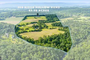 368 Ridge Hollow Rd, Edinburg, VA 22824 - Photo 118