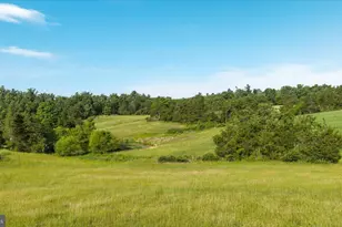 368 Ridge Hollow Rd, Edinburg, VA 22824 - Photo 92