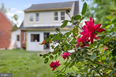 564 Orchard Street, Strasburg, VA 22657 - Photo 38