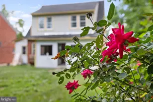564 Orchard St, Strasburg, VA 22657 - Photo 38