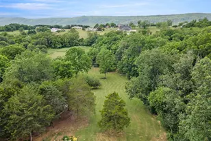 1233 Country Brook Rd, Toms Brook, VA 22660 - Photo 18