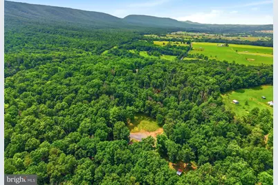 356 White Oak Lane, New Market, VA 22844 - Photo 50