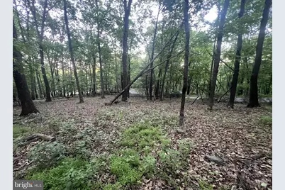 Tbd Rolly Rd, Mount Jackson, VA 22842 - Photo 12