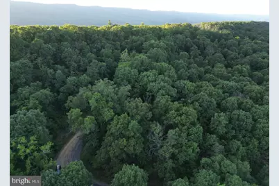 Tbd Rolly Rd, Mount Jackson, VA 22842 - Photo 6