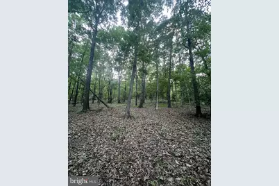 Tbd Rolly Rd, Mount Jackson, VA 22842 - Photo 8