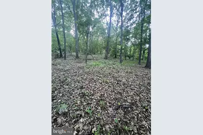 Tbd Rolly Rd, Mount Jackson, VA 22842 - Photo 12