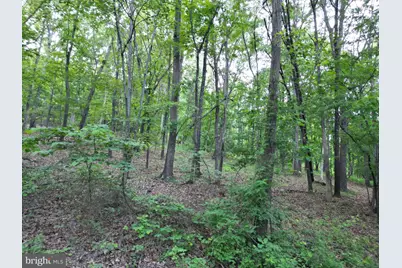 Tbd Rolly Rd, Mount Jackson, VA 22842 - Photo 10