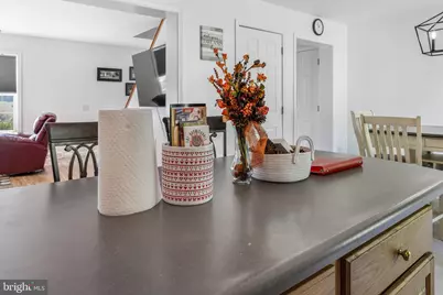 7393 Orkney Grade, Mount Jackson, VA 22842 - Photo 12
