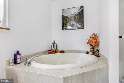 7393 Orkney Grade, Mount Jackson, VA 22842 - Photo 28