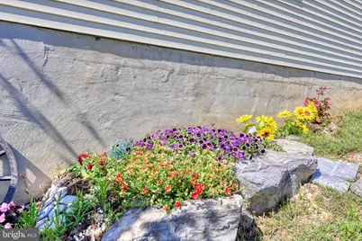 7393 Orkney Grade, Mount Jackson, VA 22842 - Photo 50