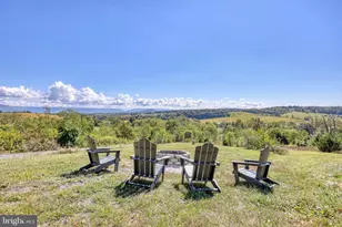 7393 Orkney Grade, Mount Jackson, VA 22842 - Photo 4