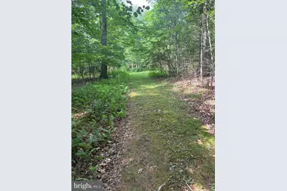 1499 Buggy Ridge Road, Mount Jackson, VA 22842 - Photo 38