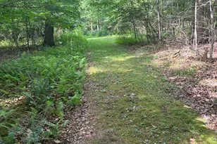 1499 Buggy Ridge Rd, Mount Jackson, VA 22842 - Photo 38