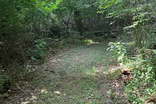 1499 Buggy Ridge Rd, Mount Jackson, VA 22842 - Photo 36