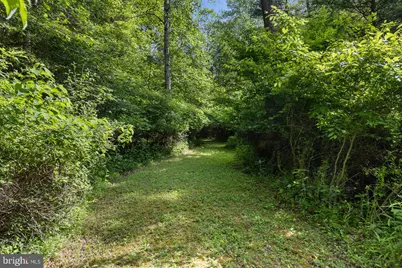 1499 Buggy Ridge Road, Mount Jackson, VA 22842 - Photo 28