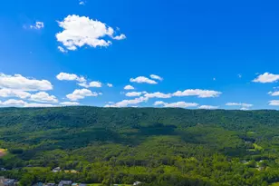 2521 Mt Hebron Rd, Strasburg, VA 22657 - Photo 8