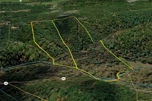 112 Cedar Hill Rd, Strasburg, VA 22657 - Photo 30