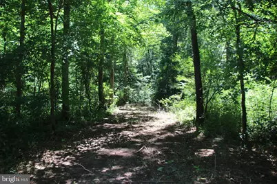 112 Cedar Hill Road, Strasburg, VA 22657 - Photo 20