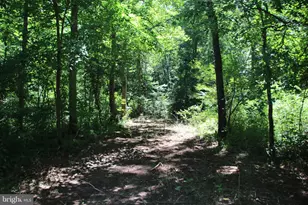 112 Cedar Hill Rd, Strasburg, VA 22657 - Photo 20