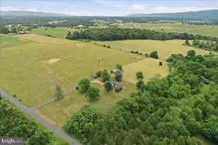 2447 Headquarters Rd, Edinburg, VA 22824 - Photo 54