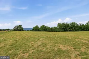 2447 Headquarters Rd, Edinburg, VA 22824 - Photo 46