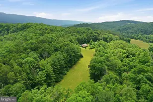3704 Cedar Creek Rd, Star Tannery, VA 22654 - Photo 40
