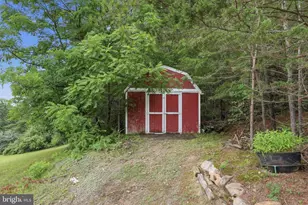 3704 Cedar Creek Rd, Star Tannery, VA 22654 - Photo 34