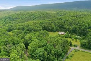3704 Cedar Creek Rd, Star Tannery, VA 22654 - Photo 36