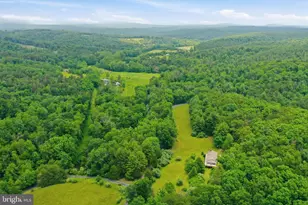 3704 Cedar Creek Rd, Star Tannery, VA 22654 - Photo 40