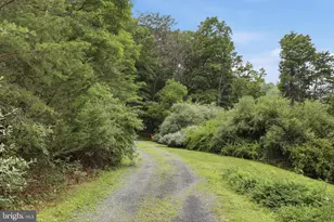 3704 Cedar Creek Rd, Star Tannery, VA 22654 - Photo 32