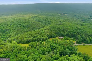 3704 Cedar Creek Rd, Star Tannery, VA 22654 - Photo 38