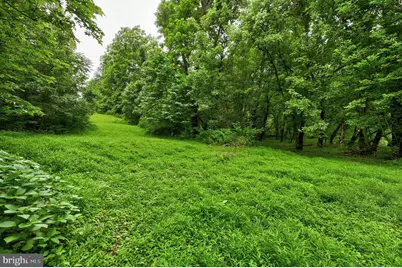 Martz Lane, Edinburg, VA 22824 - Photo 8
