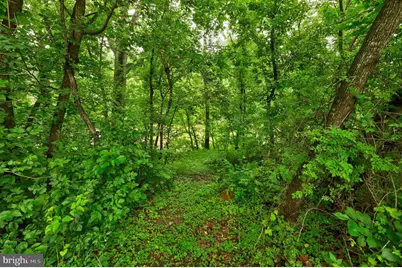 Martz Lane, Edinburg, VA 22824 - Photo 6