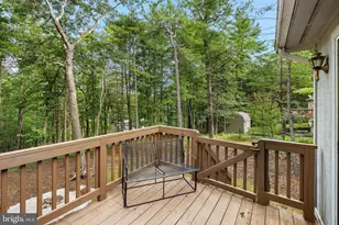 567 Bass Wood Ln, Mount Jackson, VA 22842 - Photo 34
