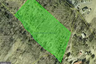 Crooked Run, Mount Jackson, VA 22842 - Photo 1