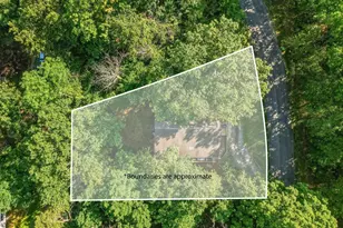 272 Willow Ln, Mount Jackson, VA 22842 - Photo 44
