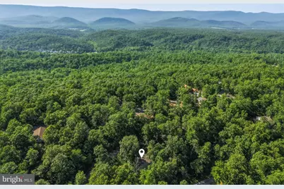 272 Willow Lane, Mount Jackson, VA 22842 - Photo 34